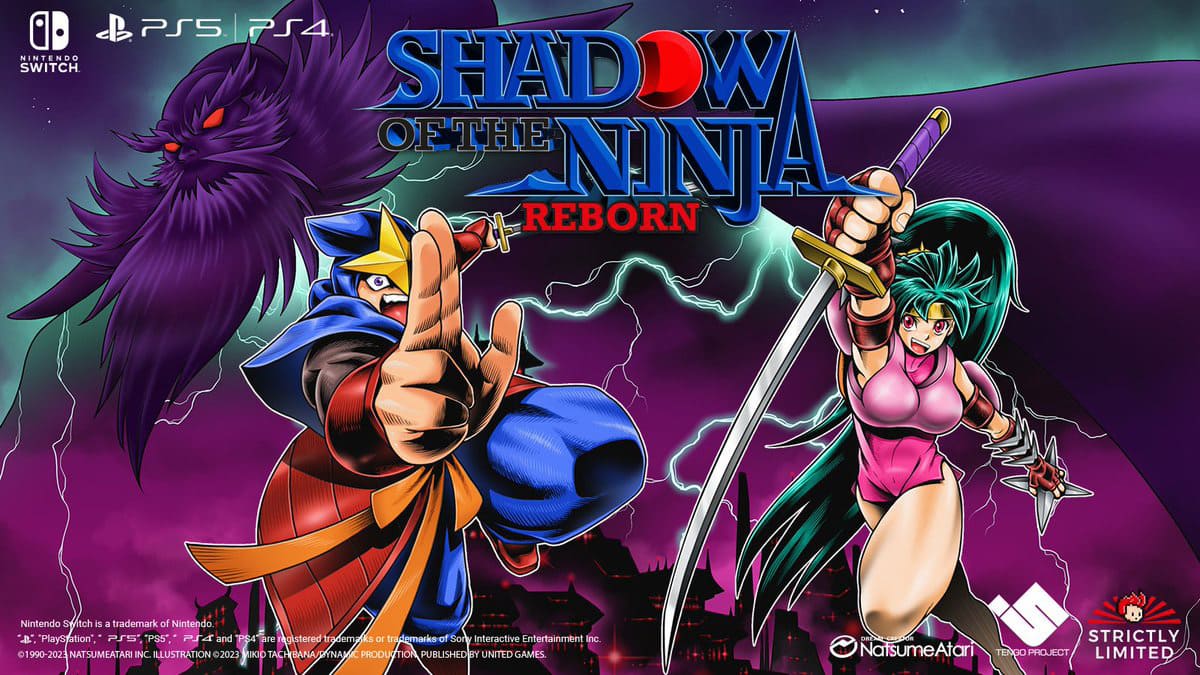 Shadow of the Ninja - Reborn